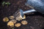 В России запустили первый инвестиционный фонд для майнинга криптовалют