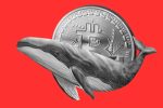 Очередной «Джеймс Уинн»? Убытки Qwatio выросли до $25,8 млн после новых ликвидаций