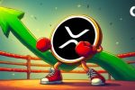 Сколько будет стоить 1000 XRP к 2026 году? Ежедневный обзор альткоинов