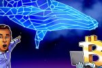 Биткоин -кит от 9 млрд долларов США, гениальные акты Sparks Correction Cornings