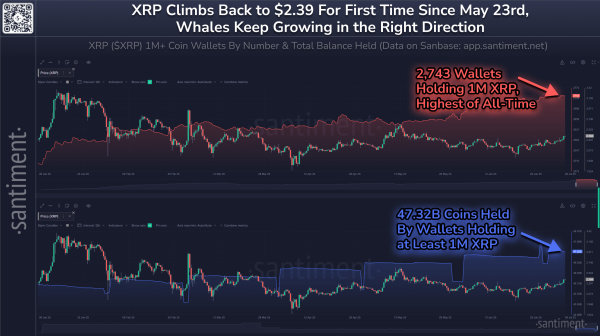 Whale-ралли, ATH и институциональные закупки: кто выигрывает — XRP или Ethereum?