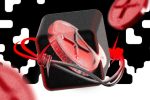 Ралли XRP может закончиться — что говорят ончейн-данные