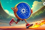 Cardano (ADA) готовится к росту на 2000%? Аналитик видит сигнал «чистого фрактала»