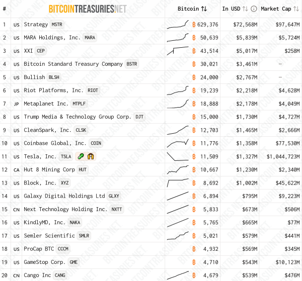 Cryptocurrence Treasuries: Lifeline или Last Resort для борющихся фирм?