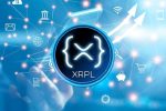 Данные показывают, что более 500 000 кошельков хранят 10,7 млн неиспольуемых ​​XRP