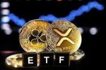 Спотовый ETF XRP запущен, но почему цена все еще ниже $3?