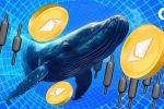 Самые богатые криптокошельки сейчас делают одну и ту же ставку – Ethereum
