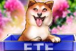 США одобряет First Dogecoin ETF (Doje) в соответствии с Законом 1940 года
