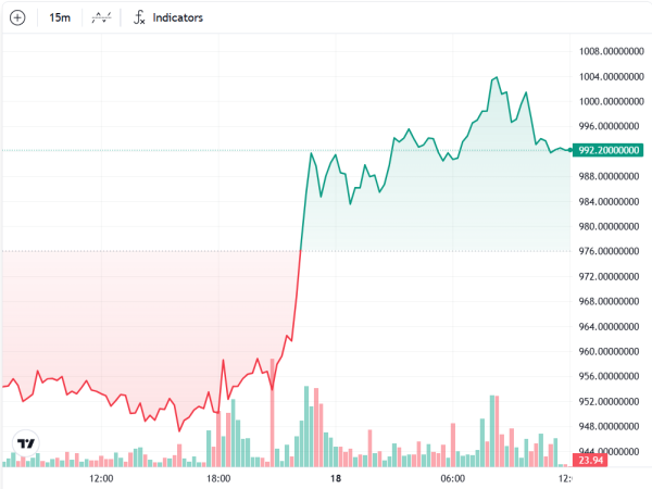 Инвестор Cryptocurrence в течение 8 лет сокращает 1 тыс. Долл. США, так как BNB достигает 1000 долларов США ATH