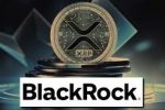 Стейблкоин Ripple дебютирует на платформе токенизации, поддерживаемой BlackRock