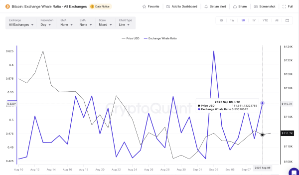 Три тревожных сигнала для биткоина: что будет с ценой BTC