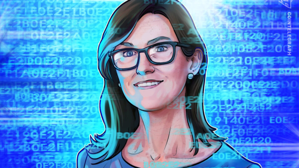 Кэти Вуд из Ark Invest: гиперликвид ощущается как ранняя Солана