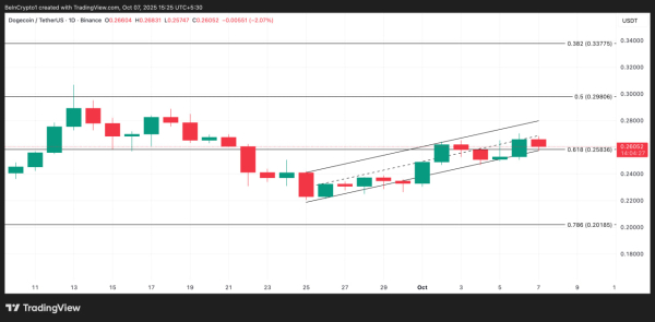 Ралли Dogecoin может ослабнуть из-за дивергенции и снижения спроса китов