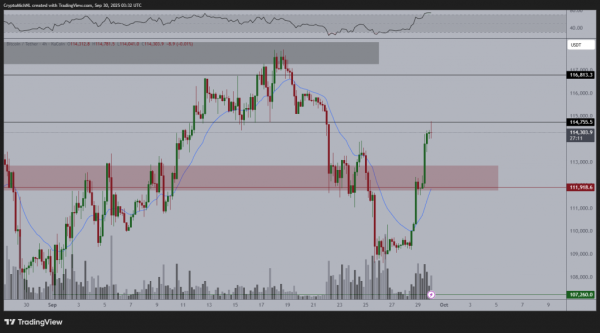 Завершил ли биткоин восьминедельную паузу перед копированием рекордов золота?