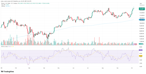 Биткоин от записи за 125 тысяч долларов, подпитываемых нами правительством, макро -факторы: аналитики Биткоин от записи за 125 тысяч долларов, подпитываемых нами правительством, макро -факторы: аналитики