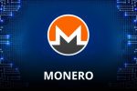 Monero выпустил обновление Flourine Fermi для борьбы со шпионскими узлами