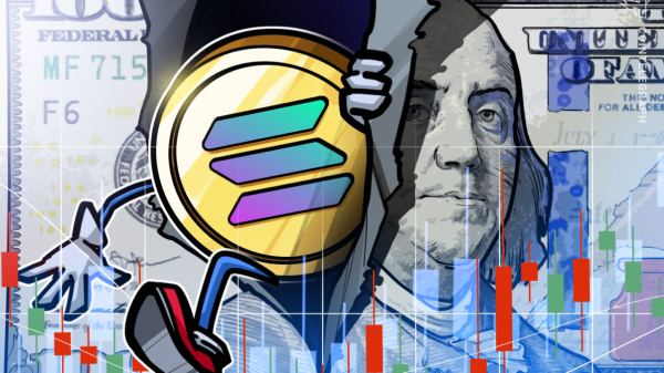 Bitwise Cio: Solana – новая Уолл -стрит для токенизации Bitwise Cio: Solana – новая Уолл -стрит для токенизации