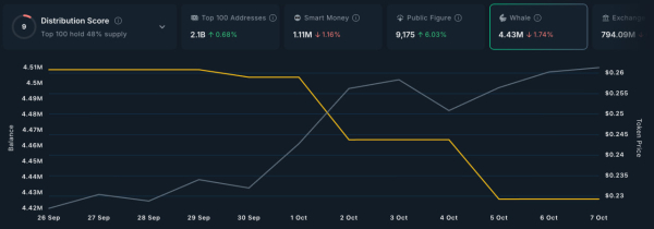 Ралли Dogecoin может ослабнуть из-за дивергенции и снижения спроса китов