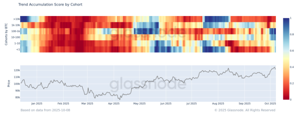 Биткоин (BTC) откатился от пика $126 000: продолжится ли октябрьское ралли Биткоин (BTC) откатился от пика $126 000: продолжится ли октябрьское ралли