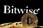 Bitwise запустила Solana ETF с активами $223 млн — спрос со стороны институтов растет