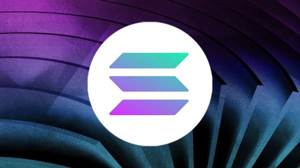 Инвесторы теряют интерес к Solana. Сможет ли монета удержаться выше $230?